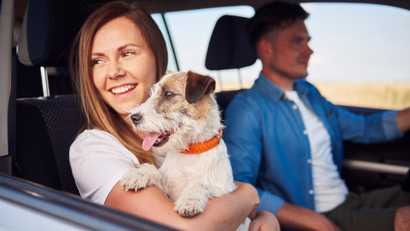 Travel Nursing With Pets: The Complete Guide | Travel Nursing